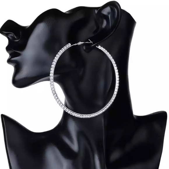 Big Hoop Crystal Earrings - Picture 10 of 13